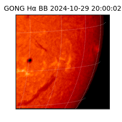 gong - 2024-10-29T20:00:02