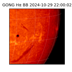 gong - 2024-10-29T22:00:02