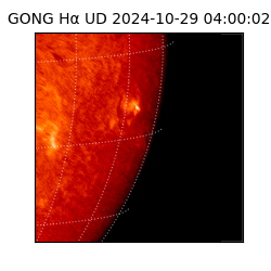 gong - 2024-10-29T04:00:02