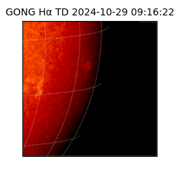 gong - 2024-10-29T09:16:22