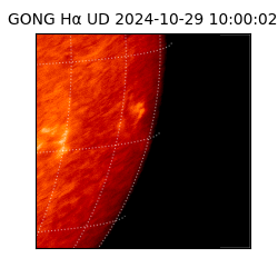 gong - 2024-10-29T10:00:02