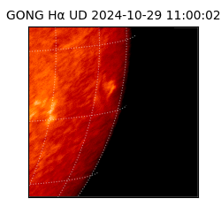 gong - 2024-10-29T11:00:02