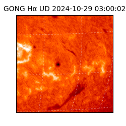 gong - 2024-10-29T03:00:02