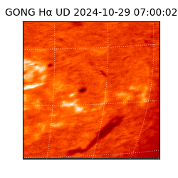 gong - 2024-10-29T07:00:02