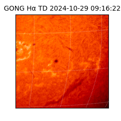 gong - 2024-10-29T09:16:22