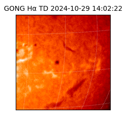 gong - 2024-10-29T14:02:22