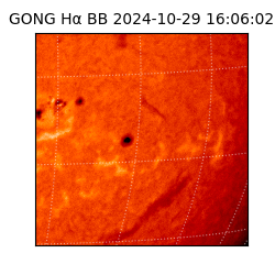 gong - 2024-10-29T16:06:02