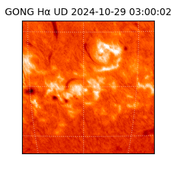 gong - 2024-10-29T03:00:02