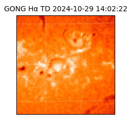 gong - 2024-10-29T14:02:22
