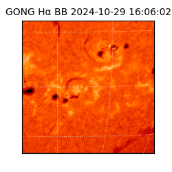 gong - 2024-10-29T16:06:02