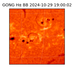 gong - 2024-10-29T19:00:02