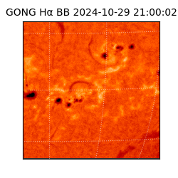 gong - 2024-10-29T21:00:02