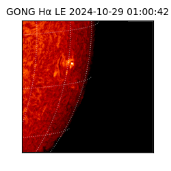 gong - 2024-10-29T01:00:42