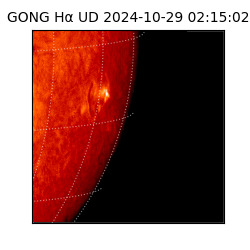 gong - 2024-10-29T02:15:02