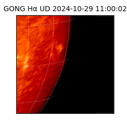 gong - 2024-10-29T11:00:02