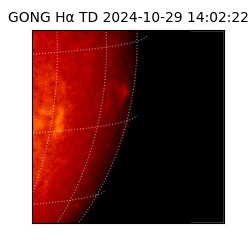 gong - 2024-10-29T14:02:22