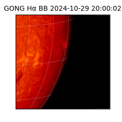 gong - 2024-10-29T20:00:02