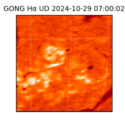 gong - 2024-10-29T07:00:02