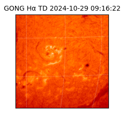 gong - 2024-10-29T09:16:22