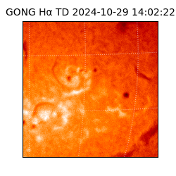 gong - 2024-10-29T14:02:22