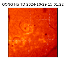 gong - 2024-10-29T15:01:22