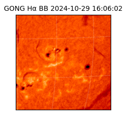 gong - 2024-10-29T16:06:02