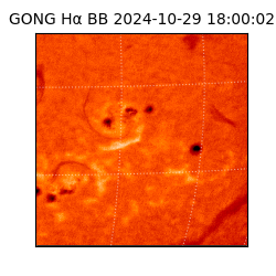 gong - 2024-10-29T18:00:02