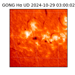 gong - 2024-10-29T03:00:02