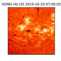 gong - 2024-10-29T07:00:02