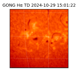 gong - 2024-10-29T15:01:22