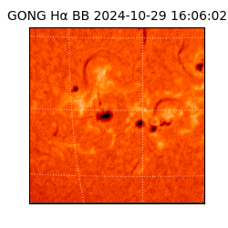 gong - 2024-10-29T16:06:02