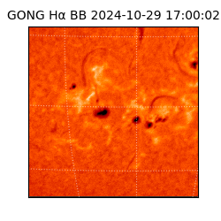 gong - 2024-10-29T17:00:02