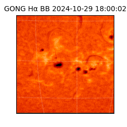 gong - 2024-10-29T18:00:02