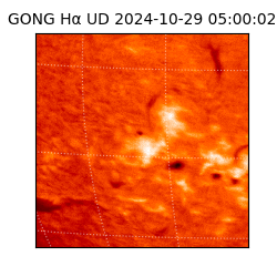 gong - 2024-10-29T05:00:02