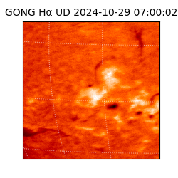 gong - 2024-10-29T07:00:02