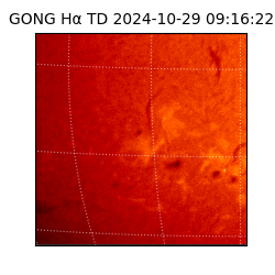 gong - 2024-10-29T09:16:22