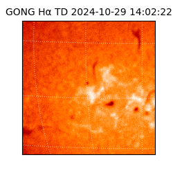 gong - 2024-10-29T14:02:22