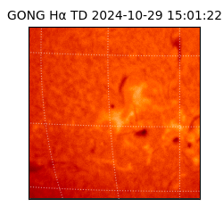 gong - 2024-10-29T15:01:22