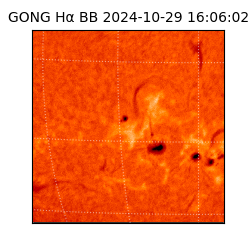 gong - 2024-10-29T16:06:02