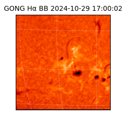 gong - 2024-10-29T17:00:02