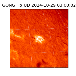 gong - 2024-10-29T03:00:02