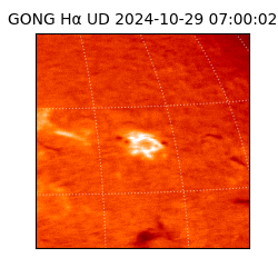 gong - 2024-10-29T07:00:02