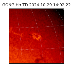 gong - 2024-10-29T14:02:22