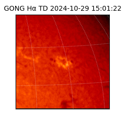 gong - 2024-10-29T15:01:22