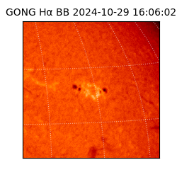 gong - 2024-10-29T16:06:02