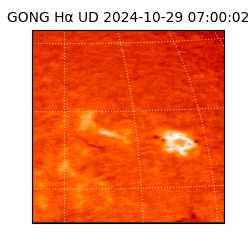 gong - 2024-10-29T07:00:02