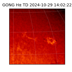 gong - 2024-10-29T14:02:22