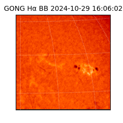 gong - 2024-10-29T16:06:02