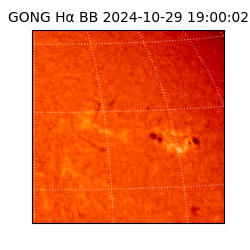 gong - 2024-10-29T19:00:02