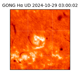 gong - 2024-10-29T03:00:02